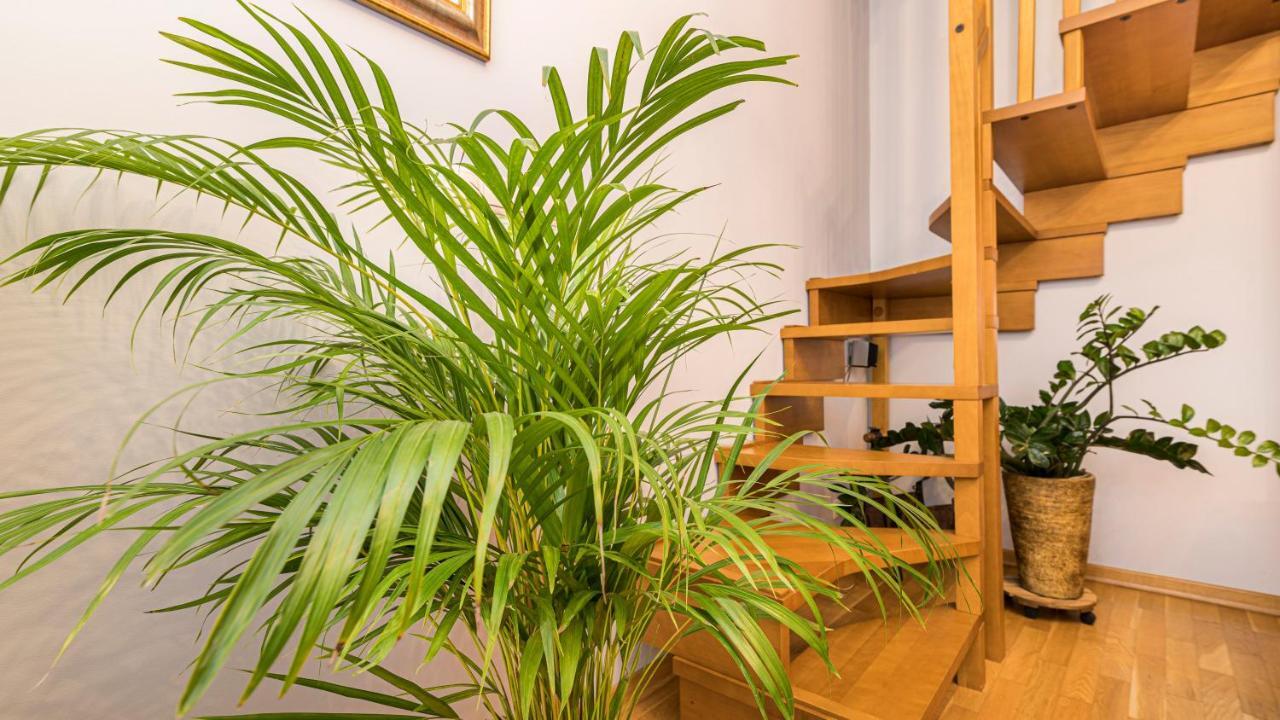 Maya'S Flats & Resorts - Old Town Dluga 72 Maisonette Гданск Екстериор снимка